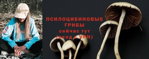 a pvp Арсеньев