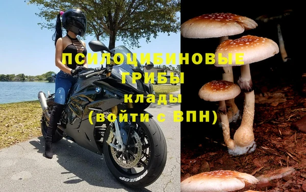 молекула духа Баксан