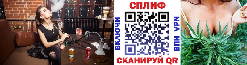 mega зеркало  купить   Новомосковск  Канабис конопля 